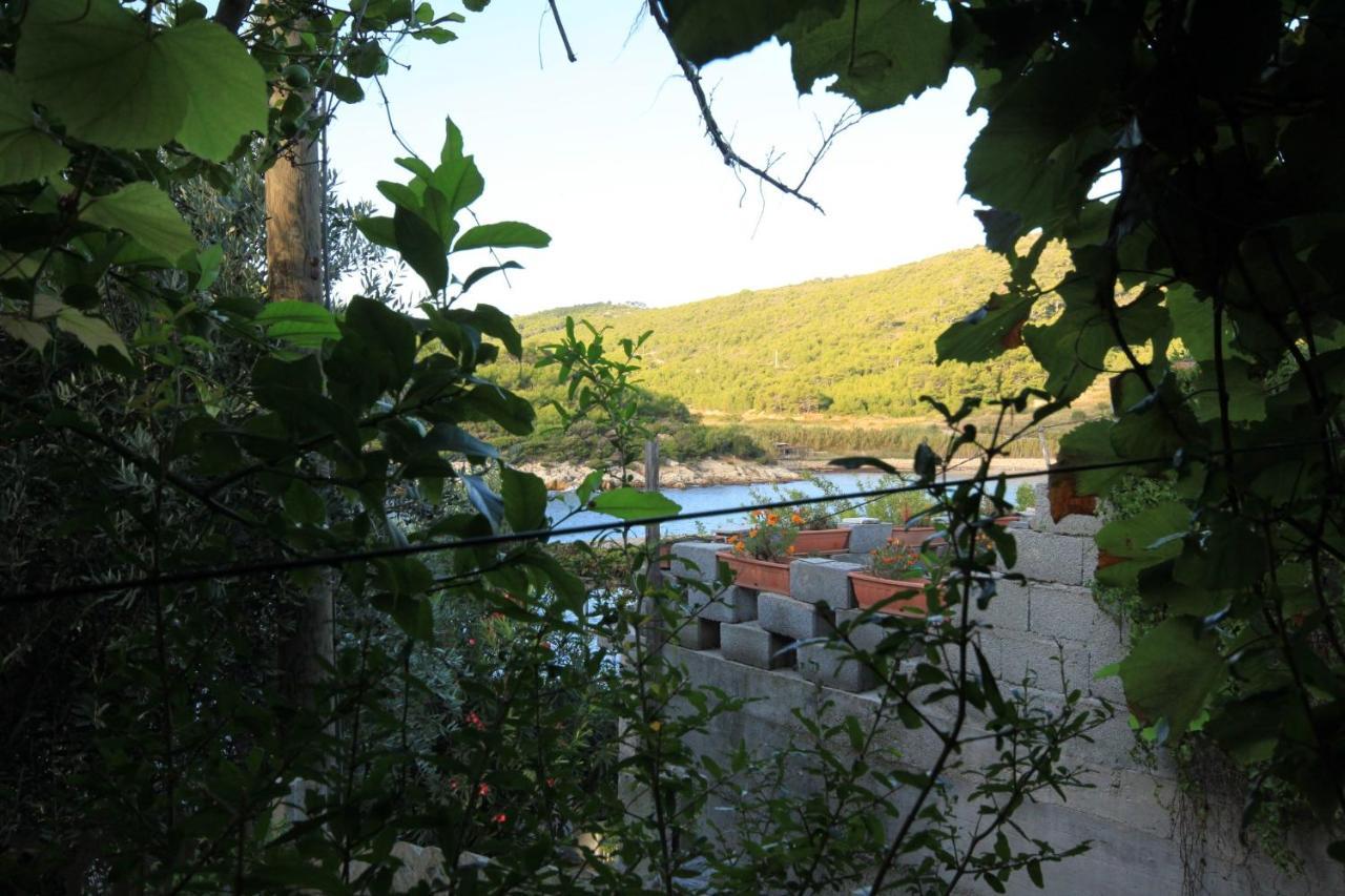 Apartments By The Sea Milna, Vis - 8913 Екстериор снимка